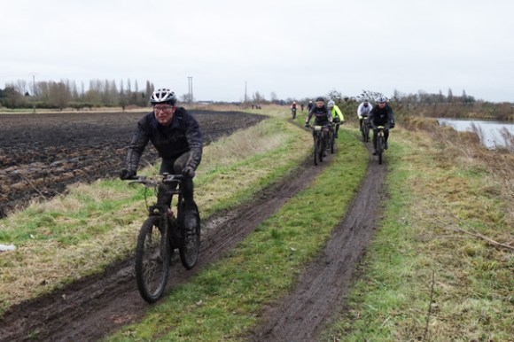 Renards des sables - Flines des Raches 2016 143