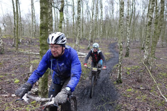 Renards des sables - Flines des Raches 2016 161