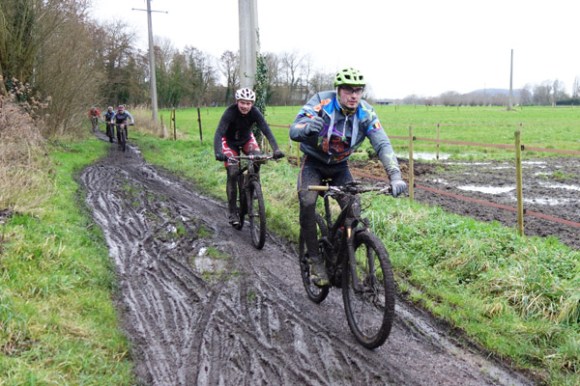 Renards des sables - Flines des Raches 2016 119