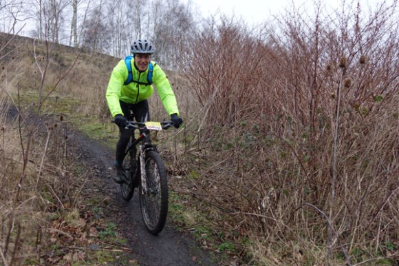 Renards des sables - Flines des Raches 2016 48