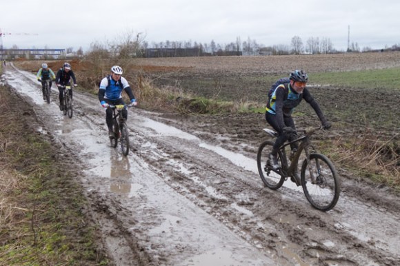 Renards des sables - Flines des Raches 2016 61