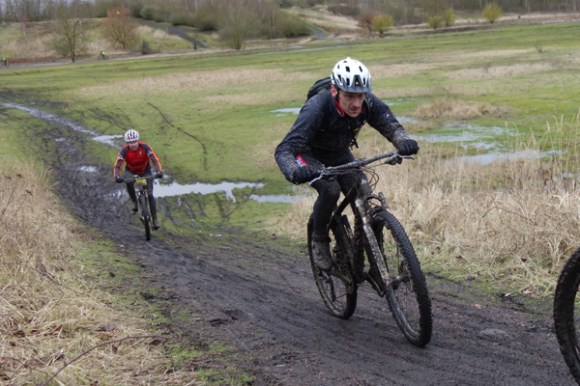 Renards des sables - Flines des Raches 2016 65