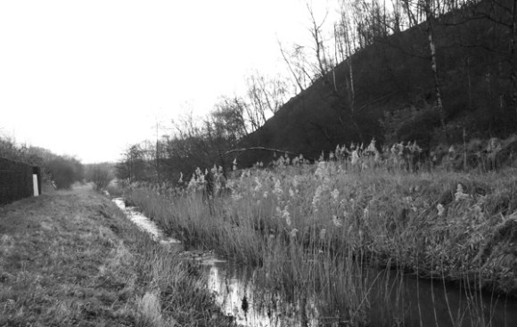 Premiere sortie d'hiver VTT - Roost Warendin 2016 12