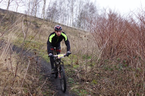 Renards des sables - Flines des Raches 2016 47