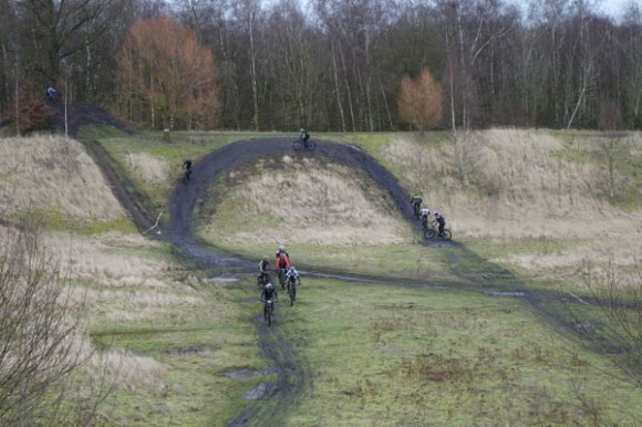 Renards des sables - Flines des Raches 2016 77