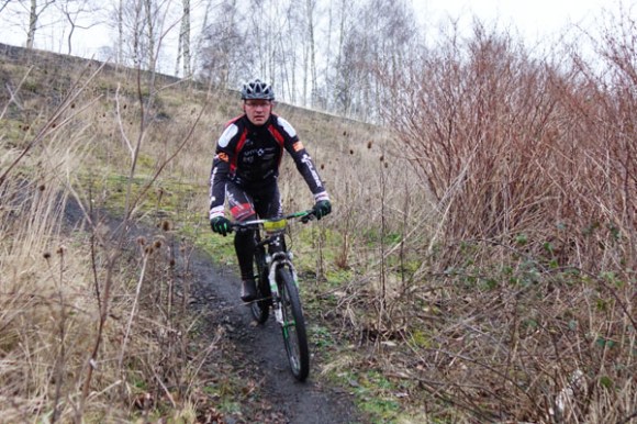 Renards des sables - Flines des Raches 2016 44