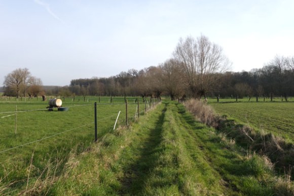 Premiere sortie d'hiver VTT - Roost Warendin 2016 50