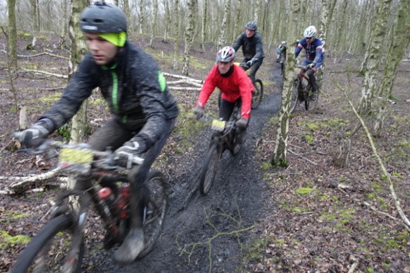 Renards des sables - Flines des Raches 2016 150