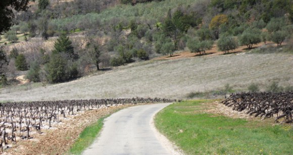 Vallée du Toulourenc 3