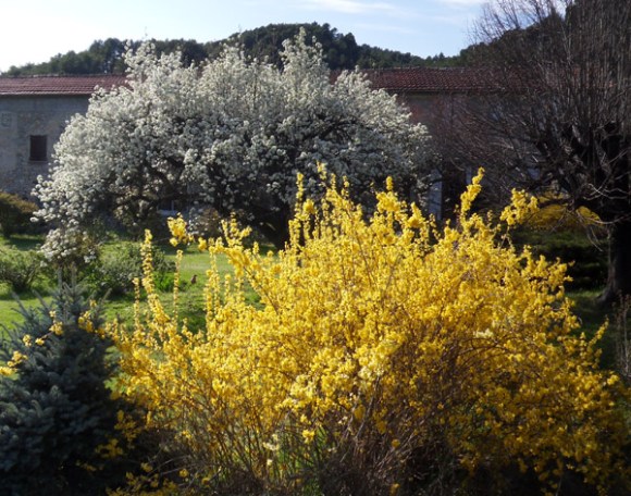 Vallée du Toulourenc 30