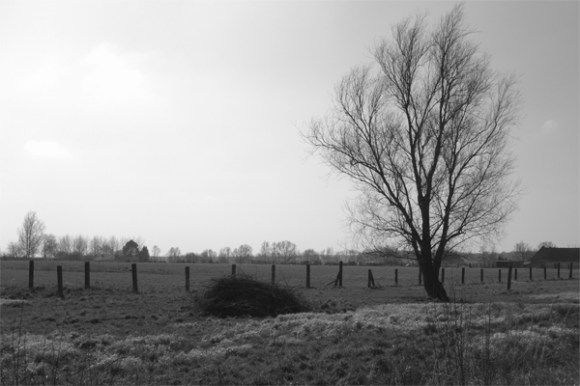 Transpeveloise Route 2016 35