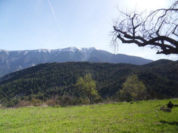 Vallée du Toulourenc 26