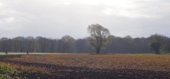 Randonnee provinoise 2016 67