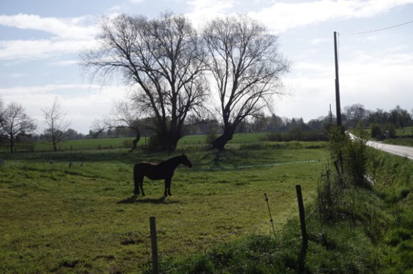 Randonnee provinoise 2016 110