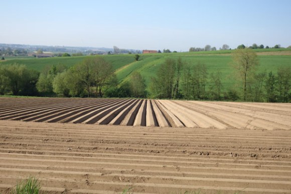 Les belles censes - Anstaing 2016 52