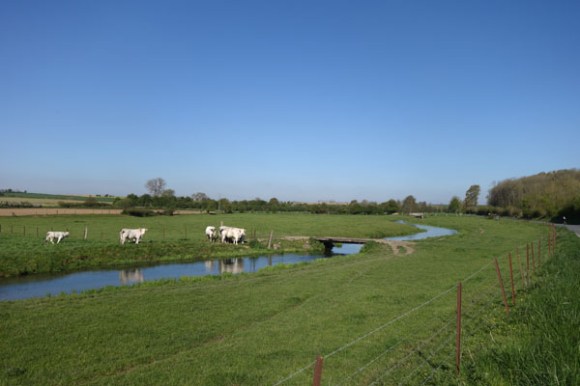 Des Weppes a l'Artois - Radinghem 2016 24
