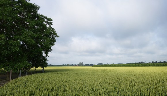 La Basilienne - Baisieux 2016 11