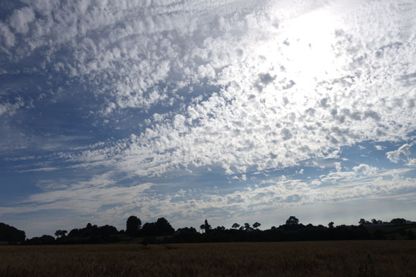 Rallye de la Ducasse - Bois Grenier 2016 26