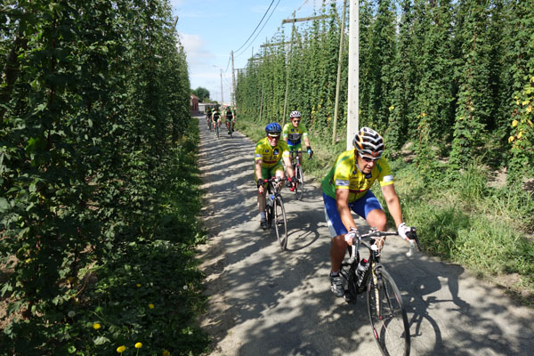 Route du Houblon - Comines 2016 99