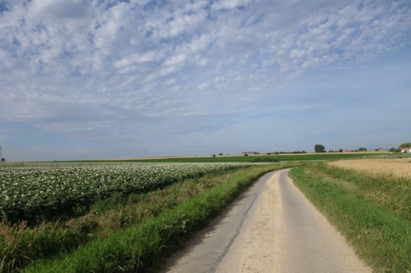 Rallye de la Ducasse - Bois Grenier 2016 22