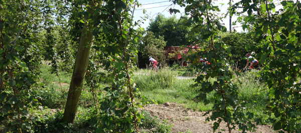 Route du Houblon - Comines 2016 135