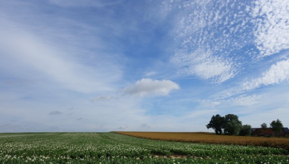 Rallye de la Ducasse - Bois Grenier 2016 31