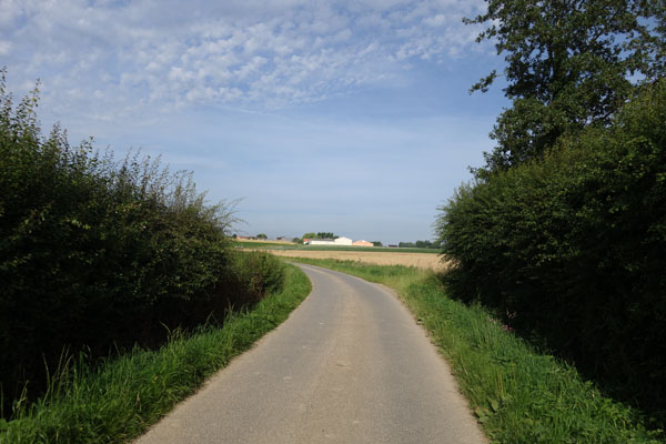 Rallye de la Ducasse - Bois Grenier 2016 21