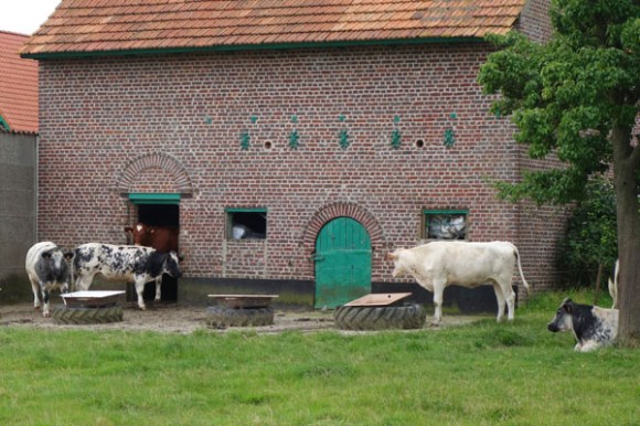 Brevet Commandant Samyn - Bas Warneton 2016 90