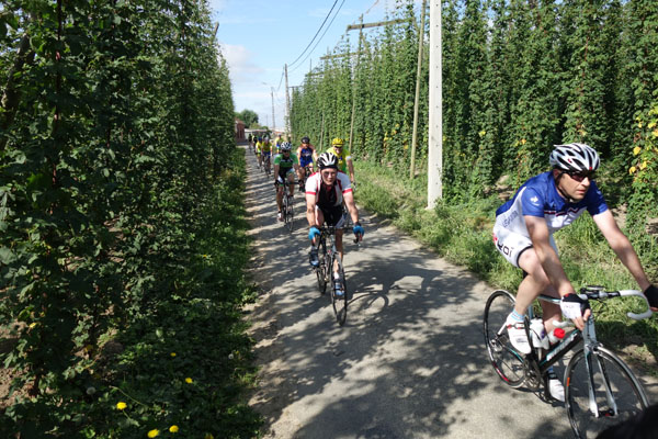 Route du Houblon - Comines 2016 95
