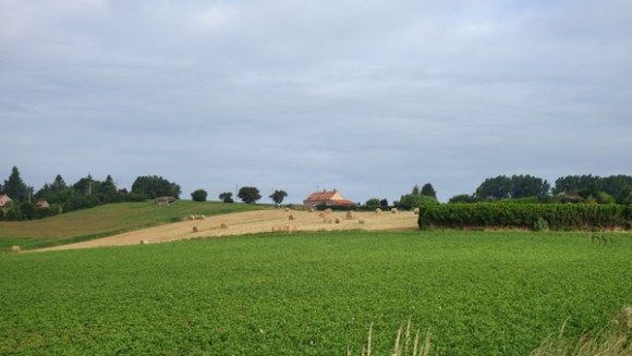 Souvenir Patrick HANQUEZ - Houplines 2016 16