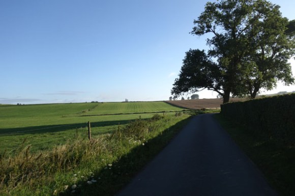 Souvenir Patrick HANQUEZ - Houplines 2016 12