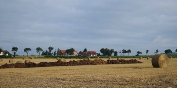 Souvenir Patrick HANQUEZ - Houplines 2016 13