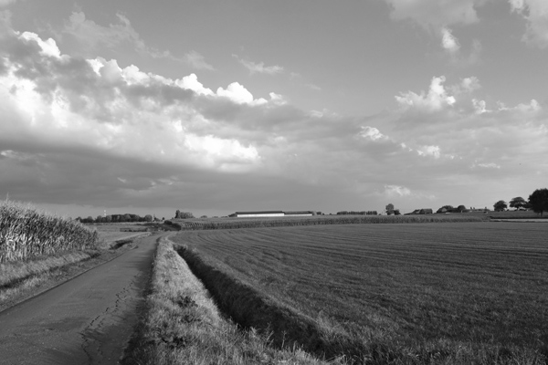 Randonnee de la Saint Michel - Quesnoy 2016 17