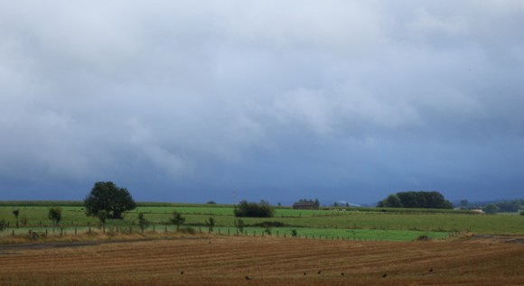 Brevet Memorial Freddy Lemaire- Ploegsteert 2016 26