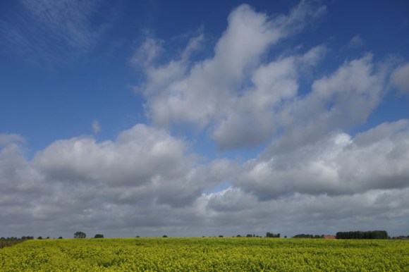 Brevet Memorial Freddy Lemaire- Ploegsteert 2016 115