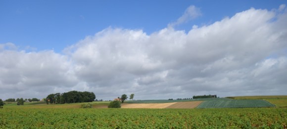 Brevet Memorial Freddy Lemaire- Ploegsteert 2016 116