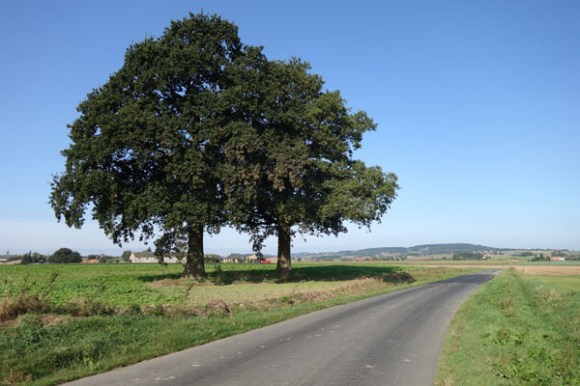 Randonnee de la Saint Michel - Quesnoy 2016 103