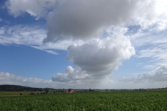 Brevet Memorial Freddy Lemaire- Ploegsteert 2016 140