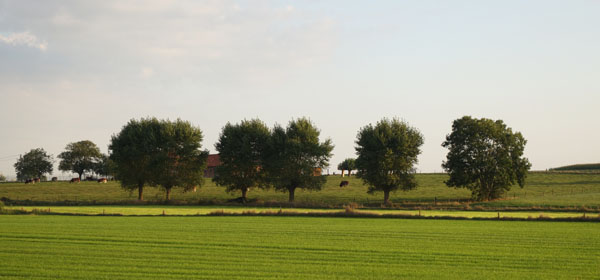 Randonnee de la Saint Michel - Quesnoy 2016 18