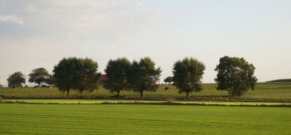 Randonnee de la Saint Michel - Quesnoy 2016 18