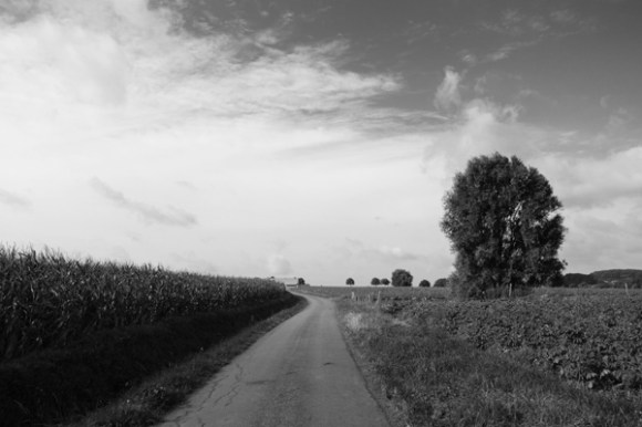 Brevet Memorial Freddy Lemaire- Ploegsteert 2016 118