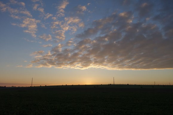 anstaing-telethon-2016-7