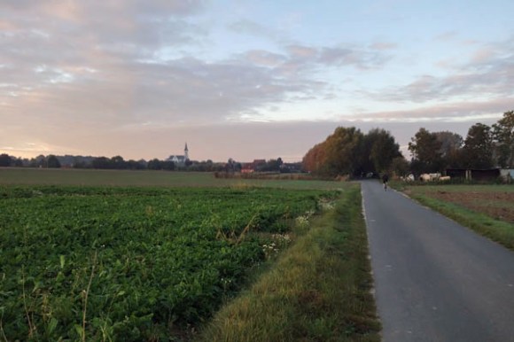 anstaing-telethon-2016-6