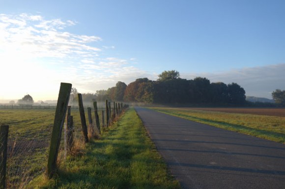 anstaing-telethon-2016-13