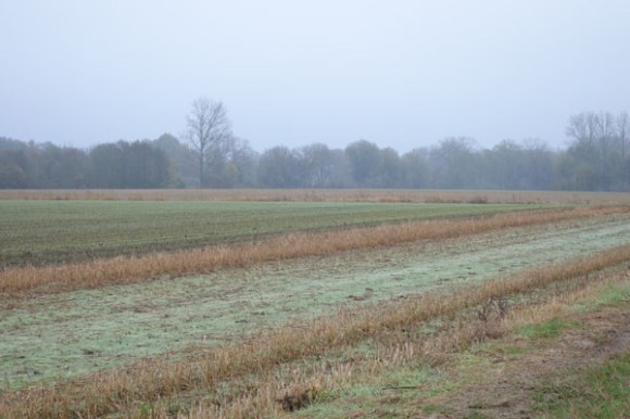 orchesienne-vtt-2016-51