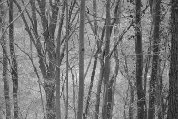 rando-raid-des-trois-vallees-saint-saulve-2016-25