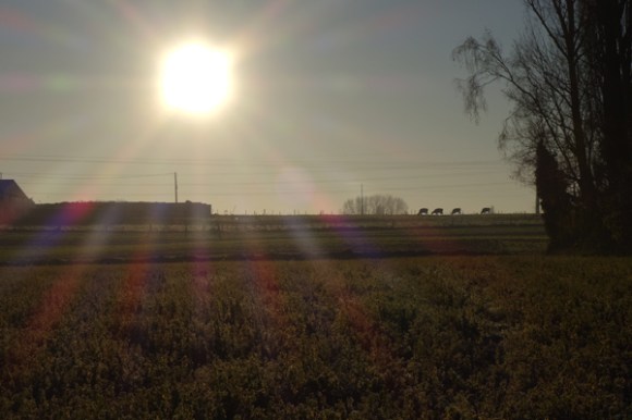 ronde-de-noel-linselles-2016-13