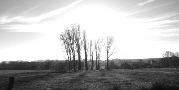 vtt-de-le-ferme-fleurie-hollain-2016-79