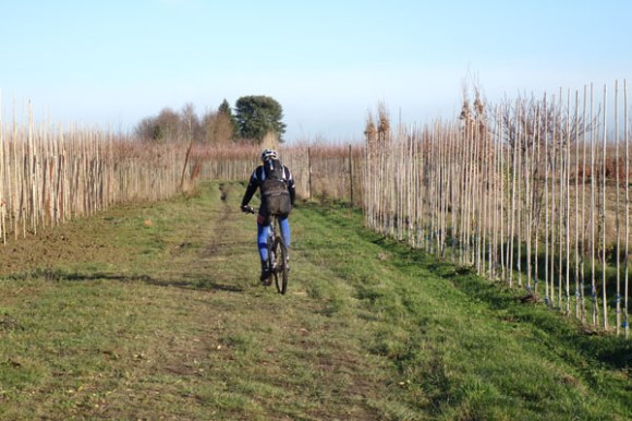 vtt-de-le-ferme-fleurie-hollain-2016-156