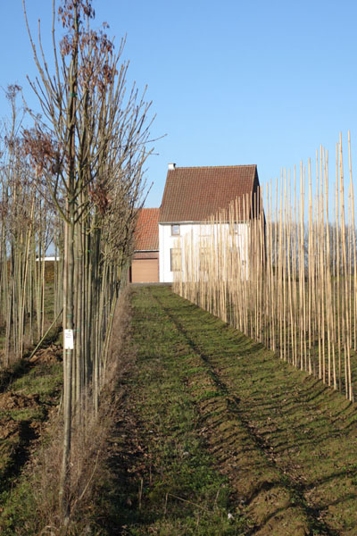vtt-de-le-ferme-fleurie-hollain-2016-155